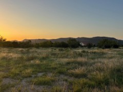 Pannell Real Estate