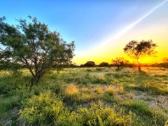 Pannell Real Estate