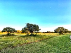 Pannell Real Estate