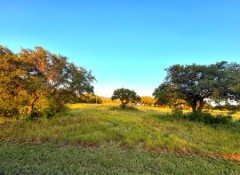 Pannell Real Estate