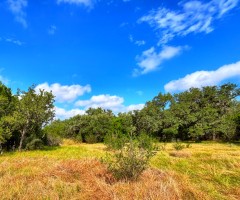 Pannell Real Estate