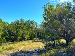 Pannell Real Estate