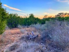 Pannell Real Estate