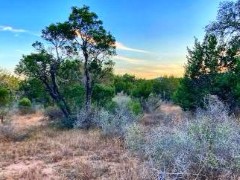 Pannell Real Estate