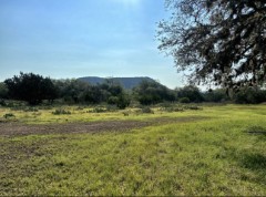 Pannell Real Estate