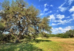 Pannell Real Estate
