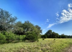 Pannell Real Estate