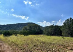 Pannell Real Estate
