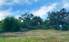Pannell Real Estate