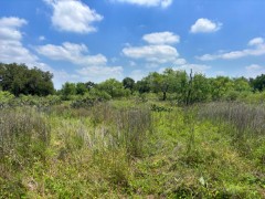 Pannell Real Estate