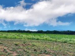 Pannell Real Estate